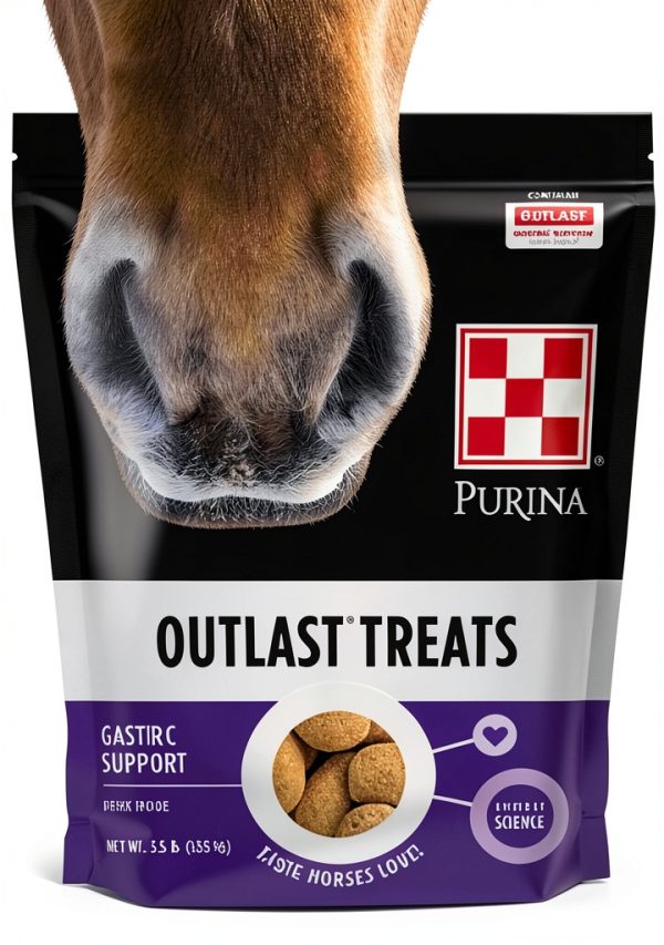 Outlast Gastric Support Supplement by Purina Horse Treat Portable-0