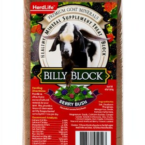 Billy Goat Mineral Supplement Treat Block by Evolved - 4 lb Berry Bush-0
