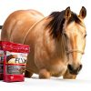 Flaxseed Treats for Horses Flix 9 lb High Omega 3 Healthy Snack-2