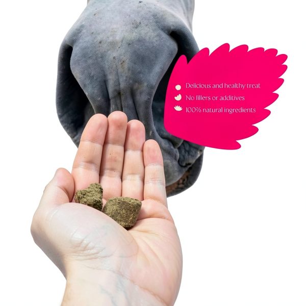 Hilton Herbs Herballs Natural Horse Treat Oregano Mint 1.1 lb-2