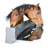 Himalayan Salt Lick on Rope 6 lbs Pearl Organic Horses Deer-1