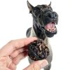 Stud Muffins 5.8lb Horse Treats Bag/Stud Muffins are Great Training Treats and Horse Pill Pockets/Our Treats for Horses are All Natural Horse Treats/Durable 5.8lb Horse Treats Bulk Pack-4