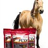Flaxseed Treats for Horses Flix 9 lb High Omega 3 Healthy Snack-5