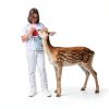 Licking Salt for Deer Block WBM Animal Mineral Salt Rock 10lb-7