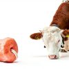 Himalayan Salt Lick on Rope 6 lbs Pearl Organic Horses Deer-3