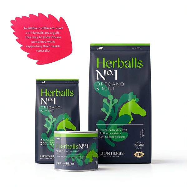 Hilton Herbs Herballs Natural Horse Treat Oregano Mint 1.1 lb-8