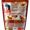 Flaxseed Treats for Horses Flix 9 lb High Omega 3 Healthy Snack-1