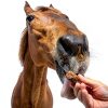 Stud Muffins S1045 Stud Muffins Slims Horse Treats, 45 Oz Bag-2